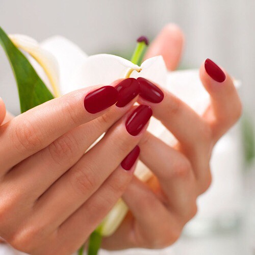 POLY GEL